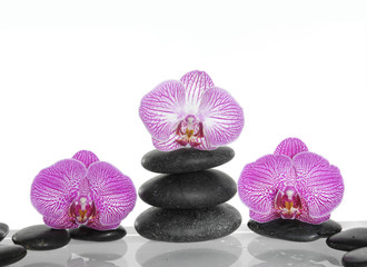 Obraz na płótnie Canvas Set of red orchid on zen stones