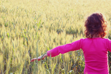back side of happy kid looking at the sunset in wheat field , ex