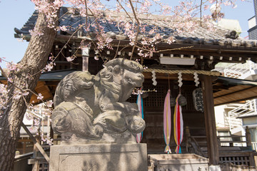 神社の狛犬