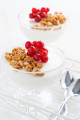 creamy panna cotta with fresh berries and granola