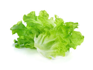 fresh green lettuce leaves isolated on white