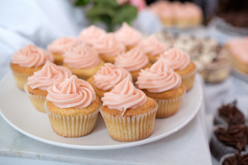 Cupcakes on a Plate