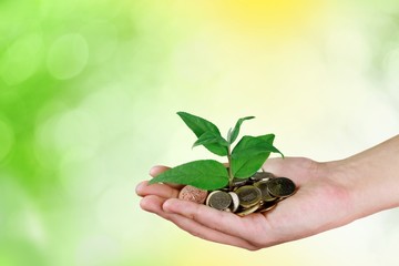 Money. Palms with a tree growing from pile of coins with green