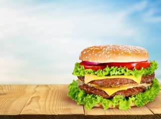 Hamburger. Hamburger