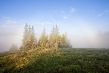 Foggy mountain morning