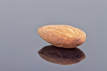 roasted almonds are on the reflecting surface