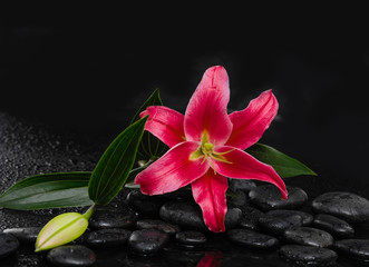 Obraz na płótnie Canvas Still life with red lily with bud on wet zen stones