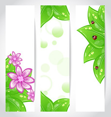 Set of bio concept design eco friendly banners