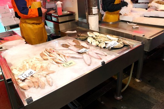 fishmonger sells the fish at the fish market