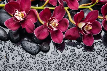 Papier Peint photo Orchidée Branche d& 39 orchidée rouge et cailloux noirs sur fond humide