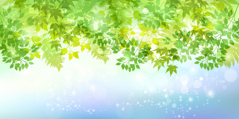 葉　新緑　背景