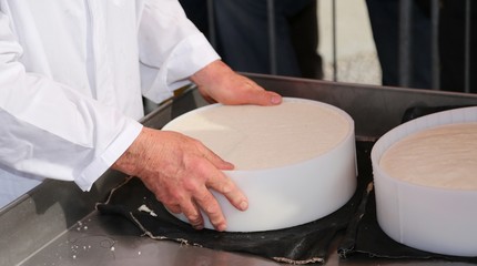 hands of the elderly manufacturer of cheese while doing the chee