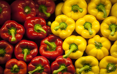 Roter und gelber Paprika (Capsicum), geschichtet, Studio