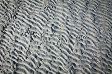 Meeresgrund bei Ebbe, Sand, gerippt, Hundespuren, Kanada