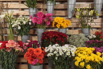 Several kind of flowers on vases in a flower shop