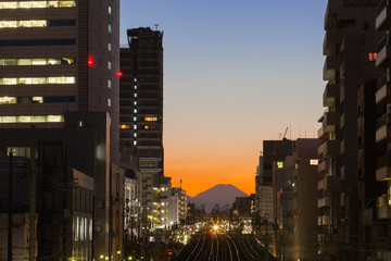Fototapeta premium Tokyo cityscape and Mountain fuji at twilight..