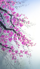 Fototapeta na wymiar Watercolor painting. Branches of blossoms cherry