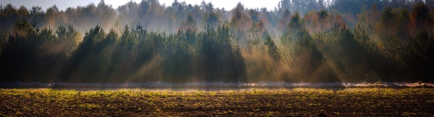 Beautiful morning with frost on plants. Autumnal landscape.