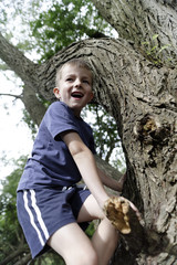 Young boy exploring a big tree in the summer