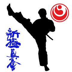 Karate shinkyokushinkai