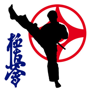 Karate kyokushinkai