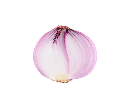 shallot or onion isolated on white background