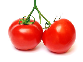 fresh tomatoes