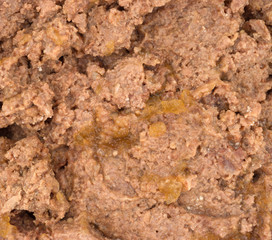 Close view of generic beef dog food