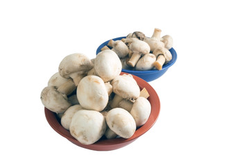 Mushrooms