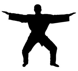 Master samurai  - silhouette