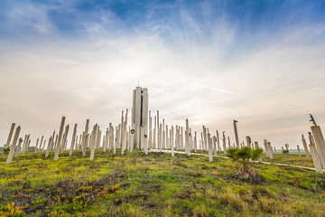 Fototapeta na wymiar green field with concrete pillars