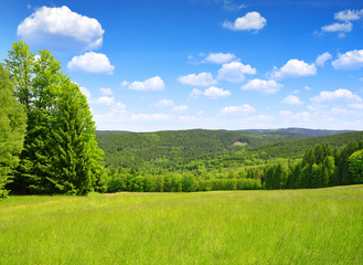 Spring landscape in the national park Sumava - Czech Republic