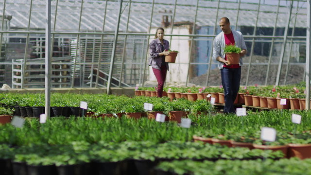 Attractive couple looking at plants in large commercial plant nursery