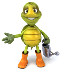 Fun turtle