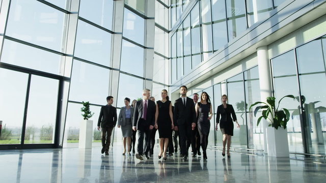 Attractive diverse business team in a light modern office building