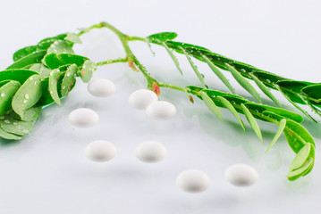 white tablets isolated on white background