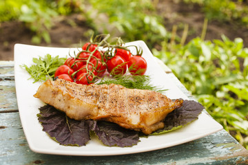 piece of meat a grill and tomatoes