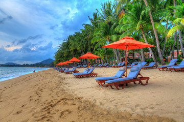 Fototapeta na wymiar Tropical resort panoram