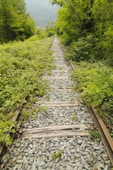 abandoned train track