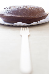 Chocolate cake and wooden fork.