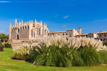 Obraz premium Majorca Palma Cathedral Seu Seo of Mallorca