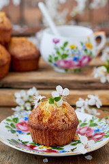 Apple muffins and spring blooming flowers