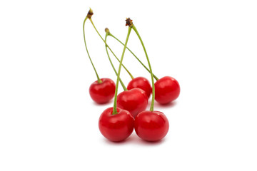 cherry