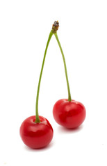 cherry