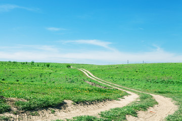 Naklejka premium Green grass under blue sky