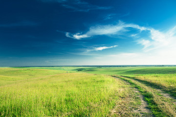 Green grass under blue sky