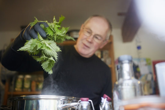 Man holding nettle above steaming saucepan