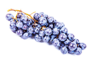 Grape on white background