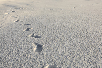 Human footsteps on snow