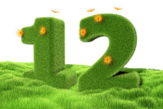 12 Jahre
